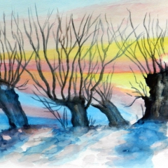 Kopfweiden in Winter, 2014