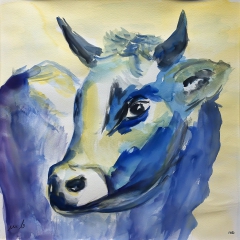 die blaue Kuh, 2017